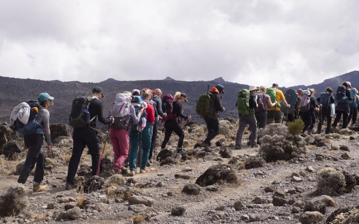 9-days-kilimanjaro-climb-lemosho-route-bannar 9-days-kilimanjaro-climb-lemosho-route-bannar