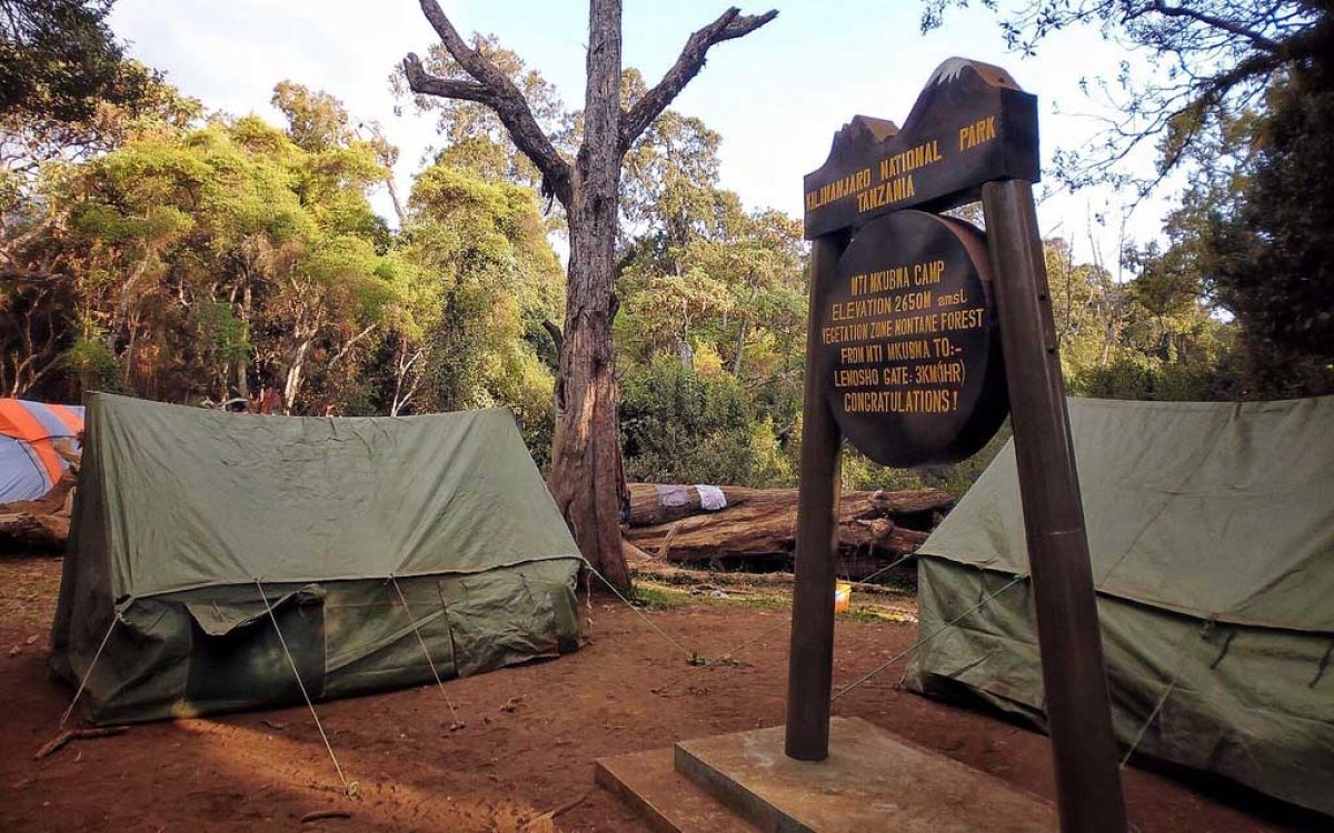 Mti Mkumbwa camp Mti Mkumbwa camp