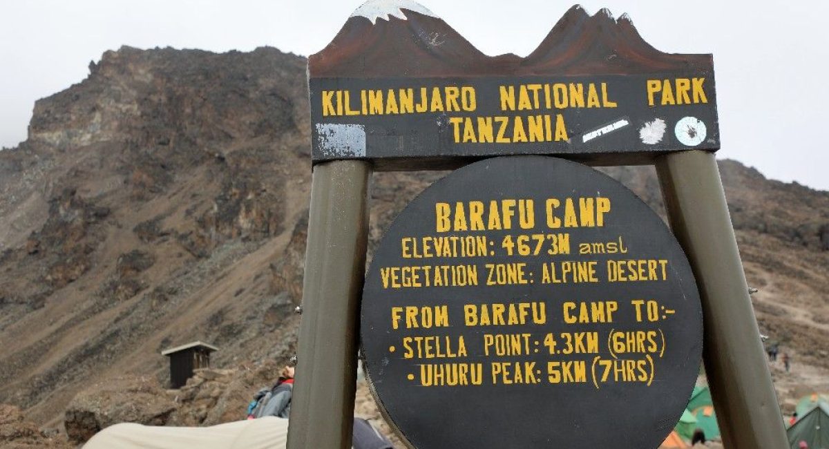 barafu-camp barafu-camp