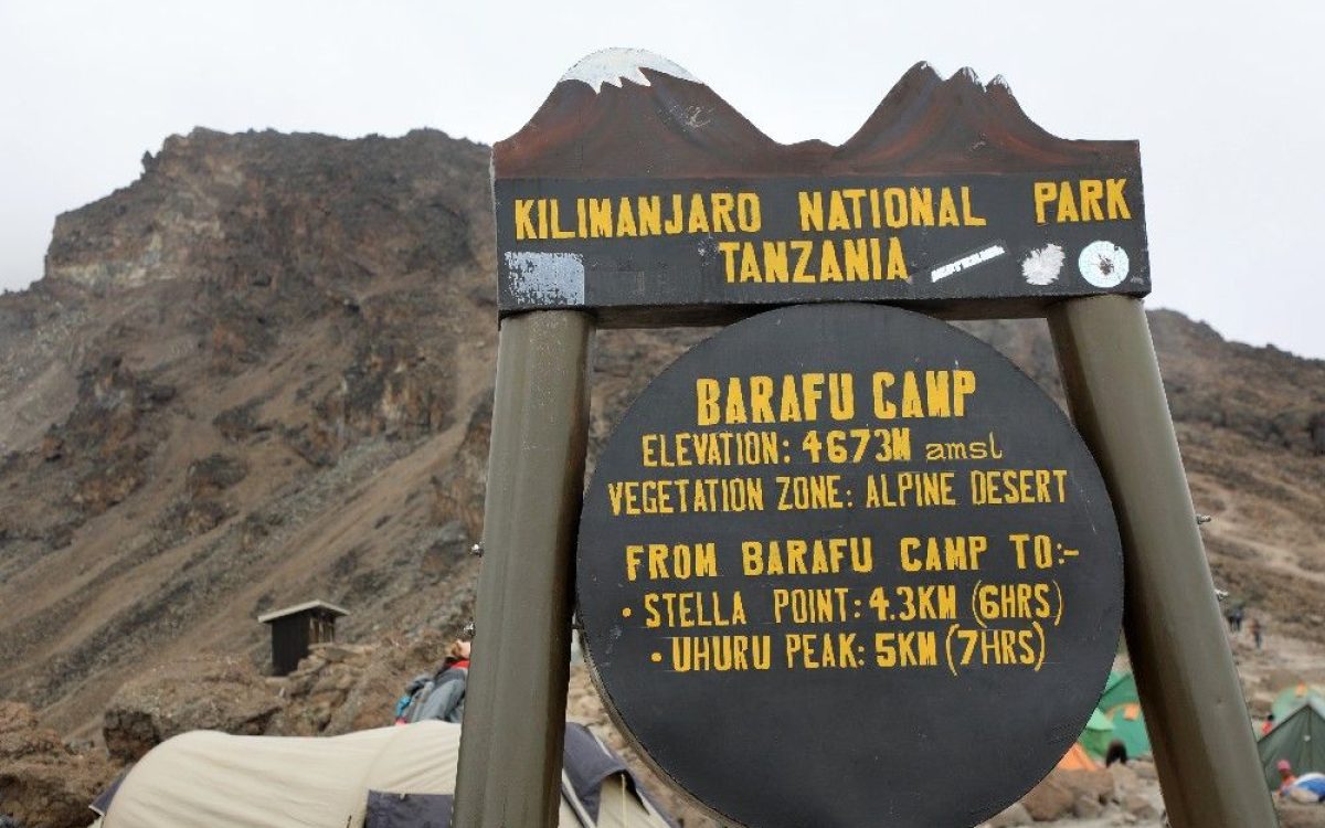 barafu-camp barafu-camp