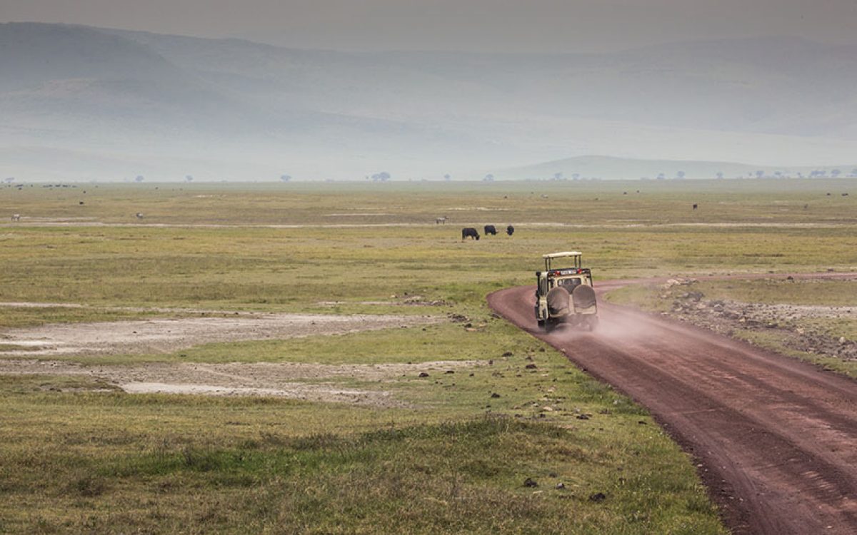 ngoro 1 ngoro 1