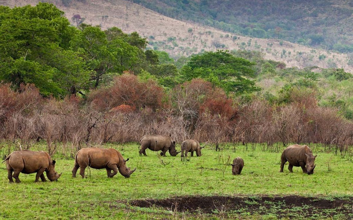 ngorongoro (6) ngorongoro (6)